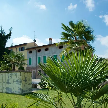 Albarello