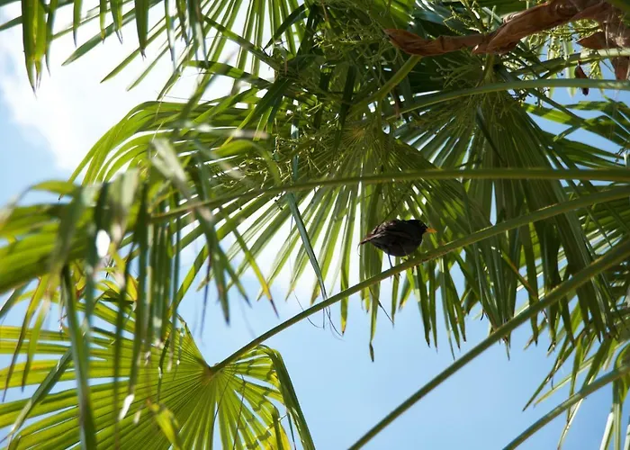 Albarello Gospodarstwo agroturystyczne *