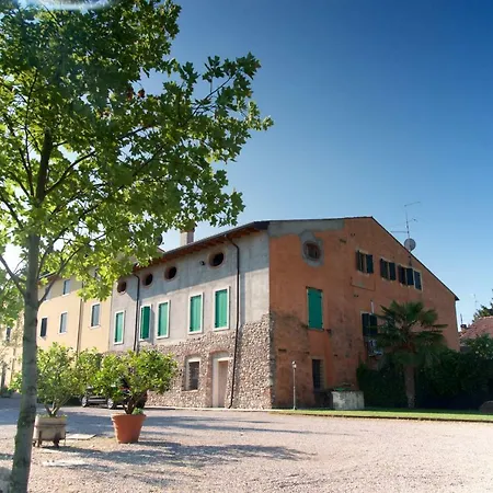 Albarello * سونا