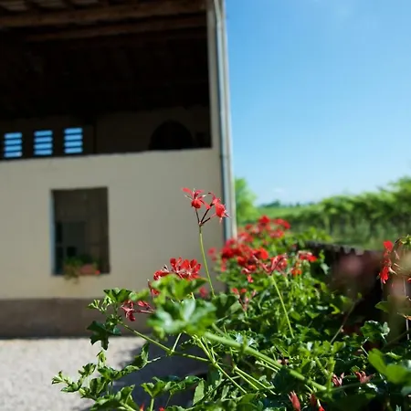 Albarello Bauernhof Sona