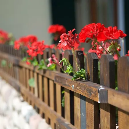 Farm stay Albarello *