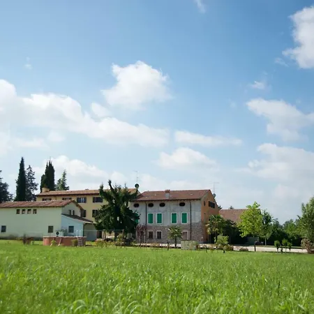 Albarello *