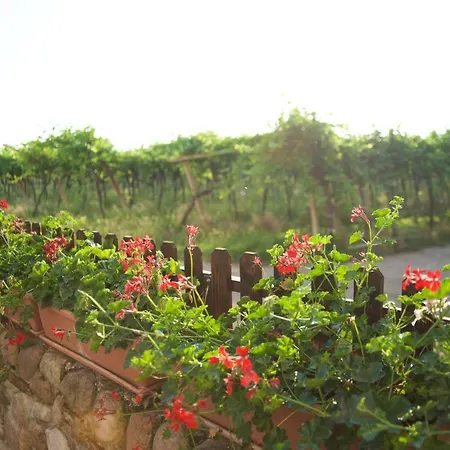 Farm stay Albarello Sona