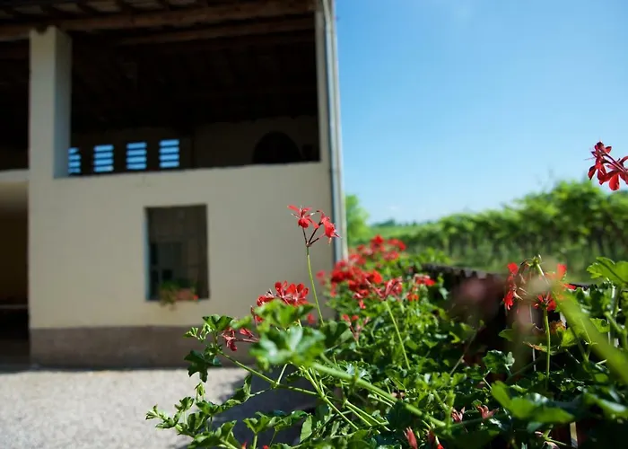 Albarello Séjour à la ferme Sona