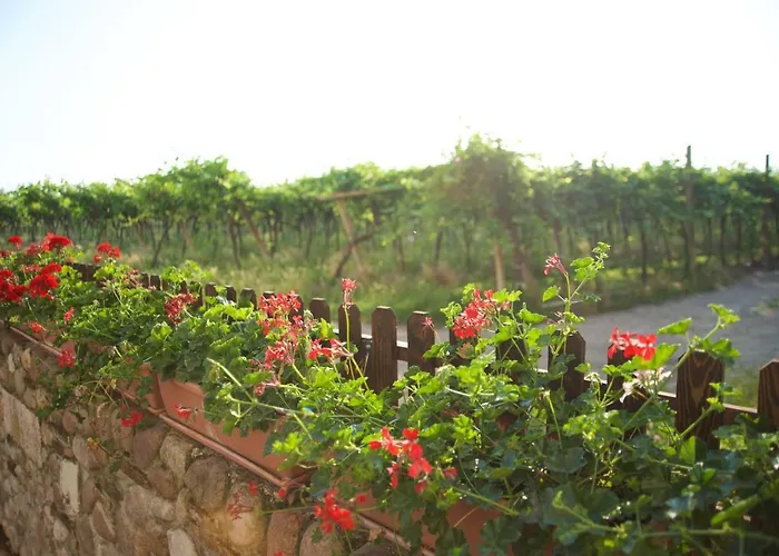 Bauernhof Albarello Sona